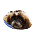 我が家の愛犬U・x・U（個別スタンプ：8）