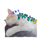 こてつ日和（個別スタンプ：2）
