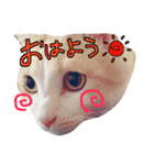 こてつ日和（個別スタンプ：4）