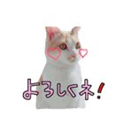 こてつ日和（個別スタンプ：8）