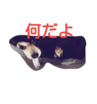 8リオン8（個別スタンプ：1）
