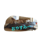 8リオン8（個別スタンプ：3）