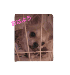 8リオン8（個別スタンプ：5）