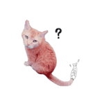 ねこ、とは（個別スタンプ：4）