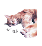 ねこ、とは（個別スタンプ：8）
