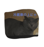 ねこ25（個別スタンプ：2）