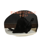 ねこ25（個別スタンプ：4）