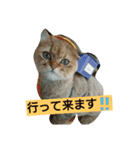 笑(にこ)ちゃん（個別スタンプ：4）