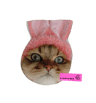 笑(にこ)ちゃん（個別スタンプ：6）