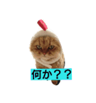 笑(にこ)ちゃん（個別スタンプ：7）