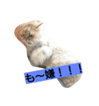 笑(にこ)ちゃん（個別スタンプ：9）