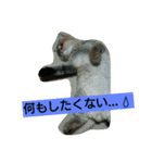 笑(にこ)ちゃん（個別スタンプ：12）