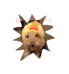 ココアスタンプ 1（個別スタンプ：1）