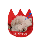 ココアスタンプ 1（個別スタンプ：5）