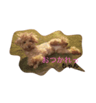 ココアスタンプ 1（個別スタンプ：8）