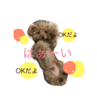 ココアスタンプ 1（個別スタンプ：10）