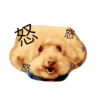 ココアスタンプ 1（個別スタンプ：11）