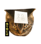 我輩は多分、猫（個別スタンプ：3）