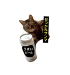我輩は多分、猫（個別スタンプ：4）