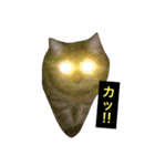 我輩は多分、猫（個別スタンプ：6）