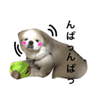 ペキニーズちょこま（個別スタンプ：40）