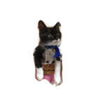 ルナモフ（個別スタンプ：8）