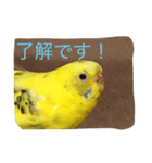 ぴっぴの気持ち（個別スタンプ：2）