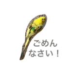 ぴっぴの気持ち（個別スタンプ：4）
