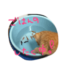 きな（個別スタンプ：2）