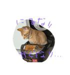 きな（個別スタンプ：3）