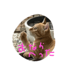 きな（個別スタンプ：5）