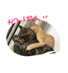 きな（個別スタンプ：8）