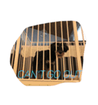 Jiji Schnauzer（個別スタンプ：11）