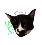 いわしちゃん（個別スタンプ：2）