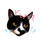 いわしちゃん（個別スタンプ：4）