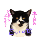 いわしちゃん（個別スタンプ：8）