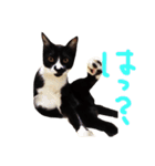 いわしちゃん（個別スタンプ：9）
