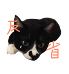 いわしちゃん（個別スタンプ：12）