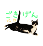 いわしちゃん（個別スタンプ：14）