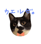 いわしちゃん（個別スタンプ：16）