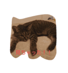 ほんわか 猫（個別スタンプ：3）