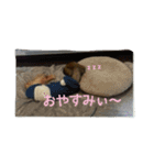 チャマルと一緒に…（個別スタンプ：10）