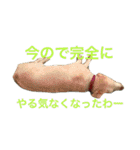 ラブラドールななちゃん（個別スタンプ：6）