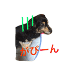 ラブラドールななちゃん（個別スタンプ：30）