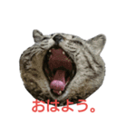 ぶん太さん。（個別スタンプ：1）