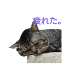 ぶん太さん。（個別スタンプ：5）