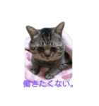 ぶん太さん。（個別スタンプ：13）