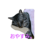 ぶん太さん。（個別スタンプ：14）