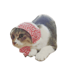 ネネとモモ（個別スタンプ：10）
