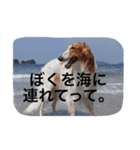 ぼくのパンは海（個別スタンプ：3）